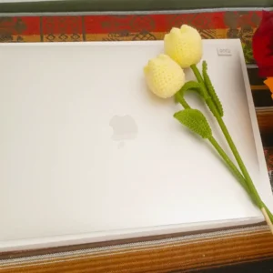Apple MacBook Air 2020  (13.3 pulgadas, 8GB RAM, Almacenamiento SSD de 245gb, Teclado mágico)